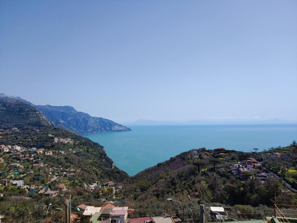 Sorrento, Positano, Amalfi Coast, Capri, Garden, Villa Carcara Colli di Fontanelle Екстер'єр фото